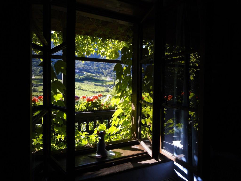 Villa Bertagnolli - Locanda Del Bel Sorriso Trento Exteriér fotografie